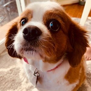 Meet your Posher, Joanna